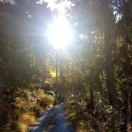 Schoene Aussicht Daire *
