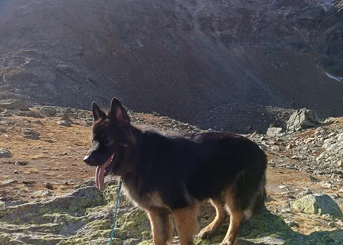 Schoene Aussicht Apartamento *