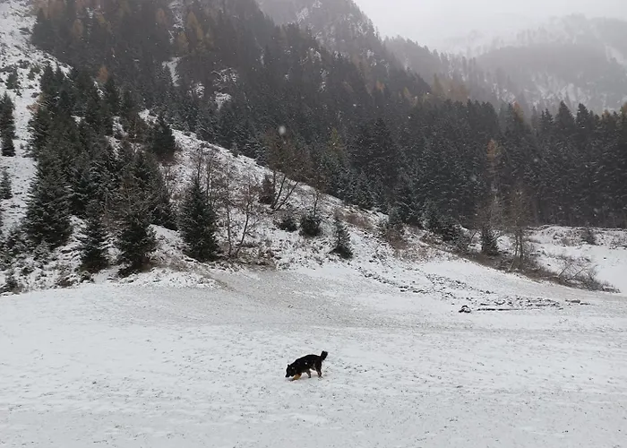 Schoene Aussicht Apartamento