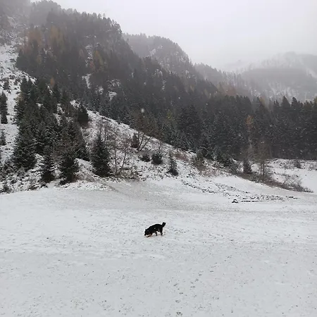 Schoene Aussicht 아파트