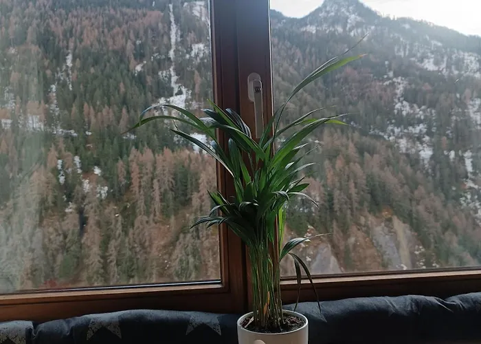 Appartement Schoene Aussicht