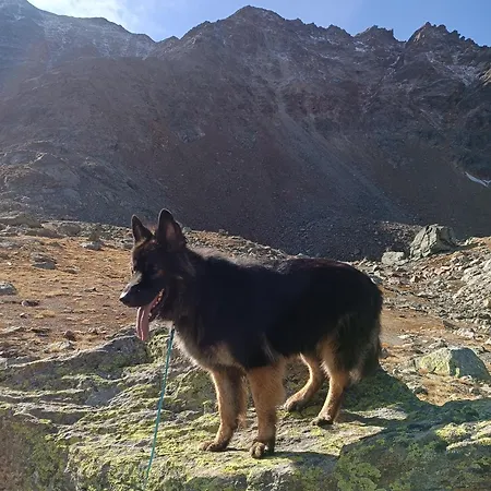 Schoene Aussicht Appartamento *